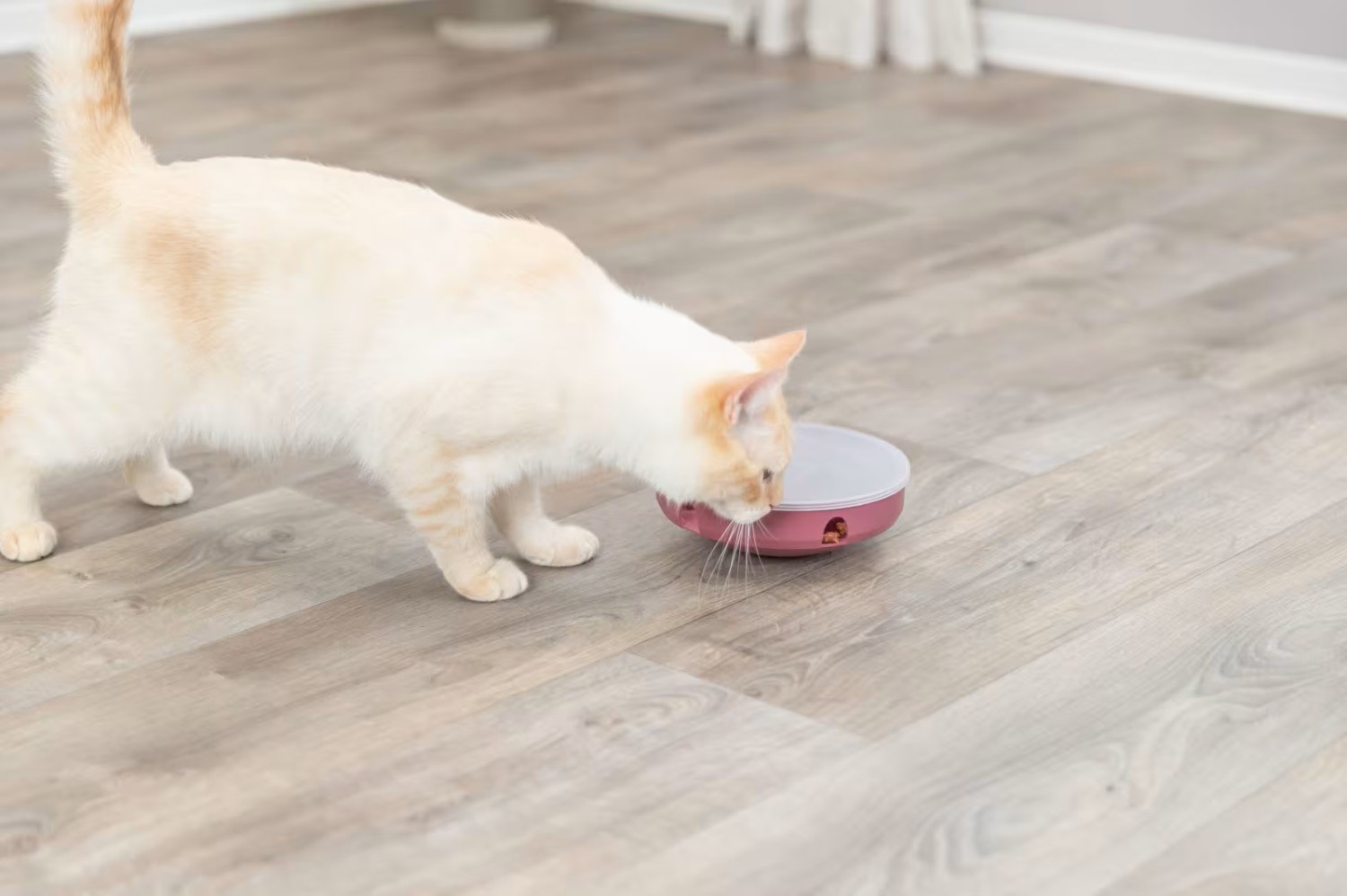 Katteleke Cat Activity Rocking Maze Ø:18cm