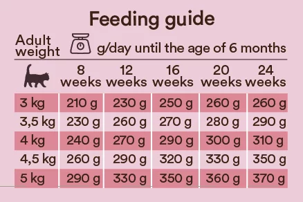 gallery-10583-for-464386