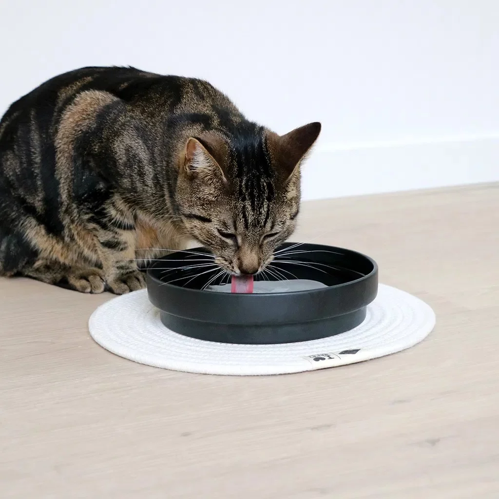 gallery-10609-for-D621482353