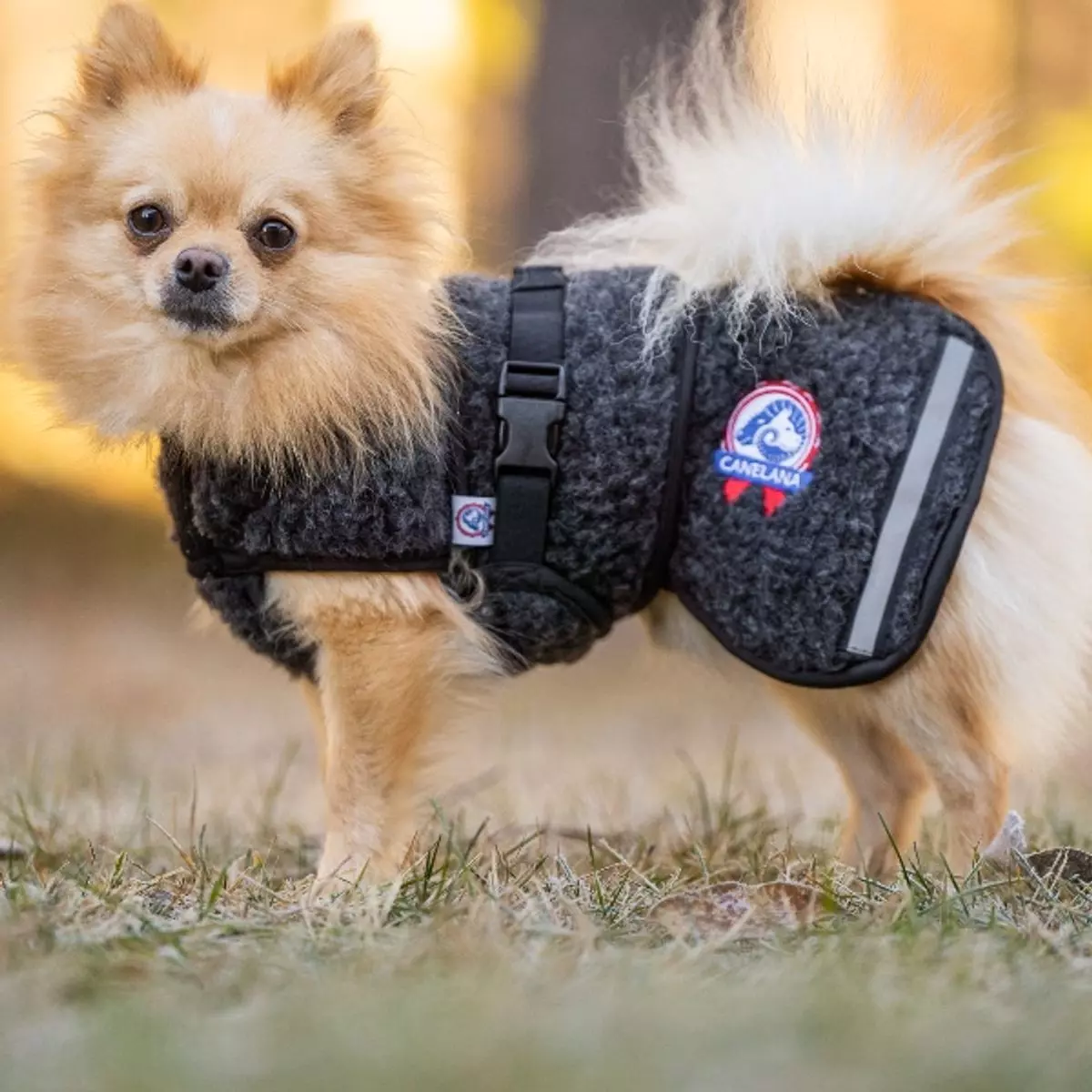 Canelana AMBASSADØR ulldekken (tykk ull) Sort | Flere størrelser (XXS-XXXXS)