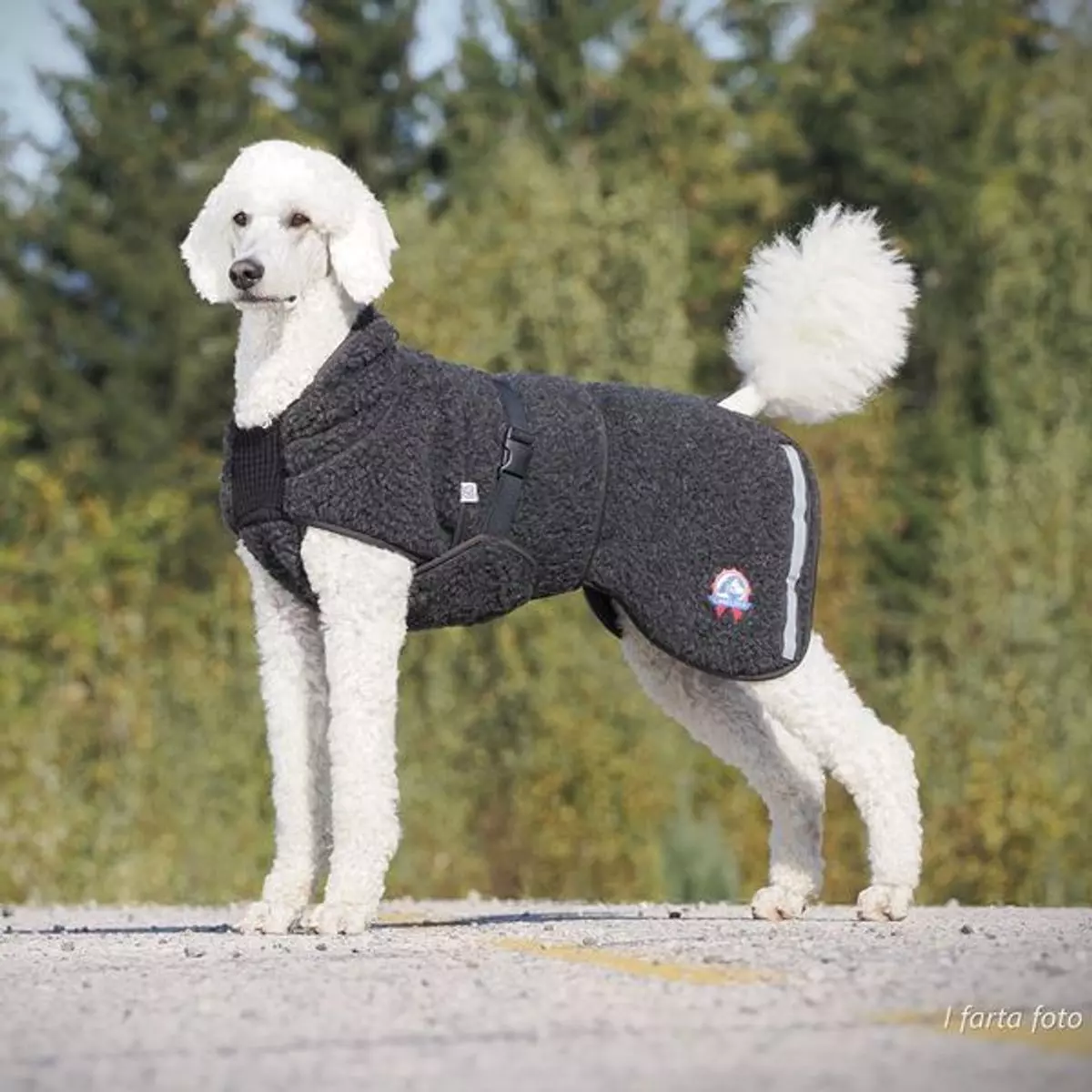 Canelana AMBASSADØR ulldekken (tykk ull) Sort TERRIER | Flere størrelser (M/L-L)