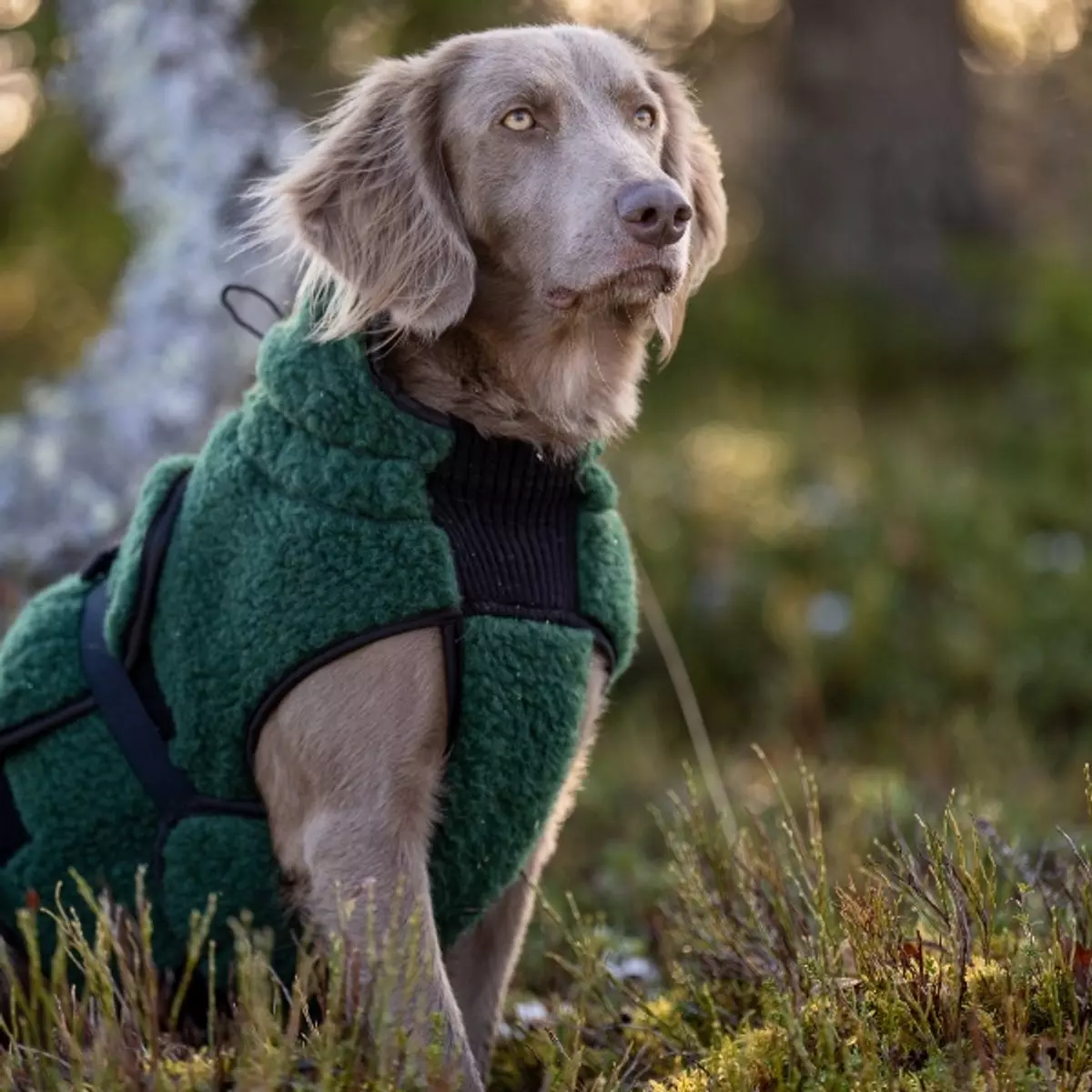 gallery-10659-for-100728