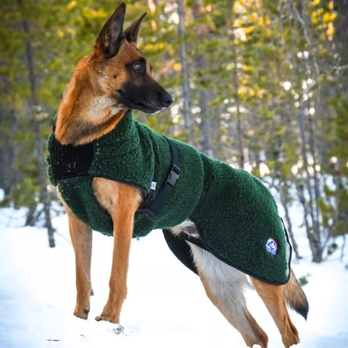 gallery-10662-for-100728