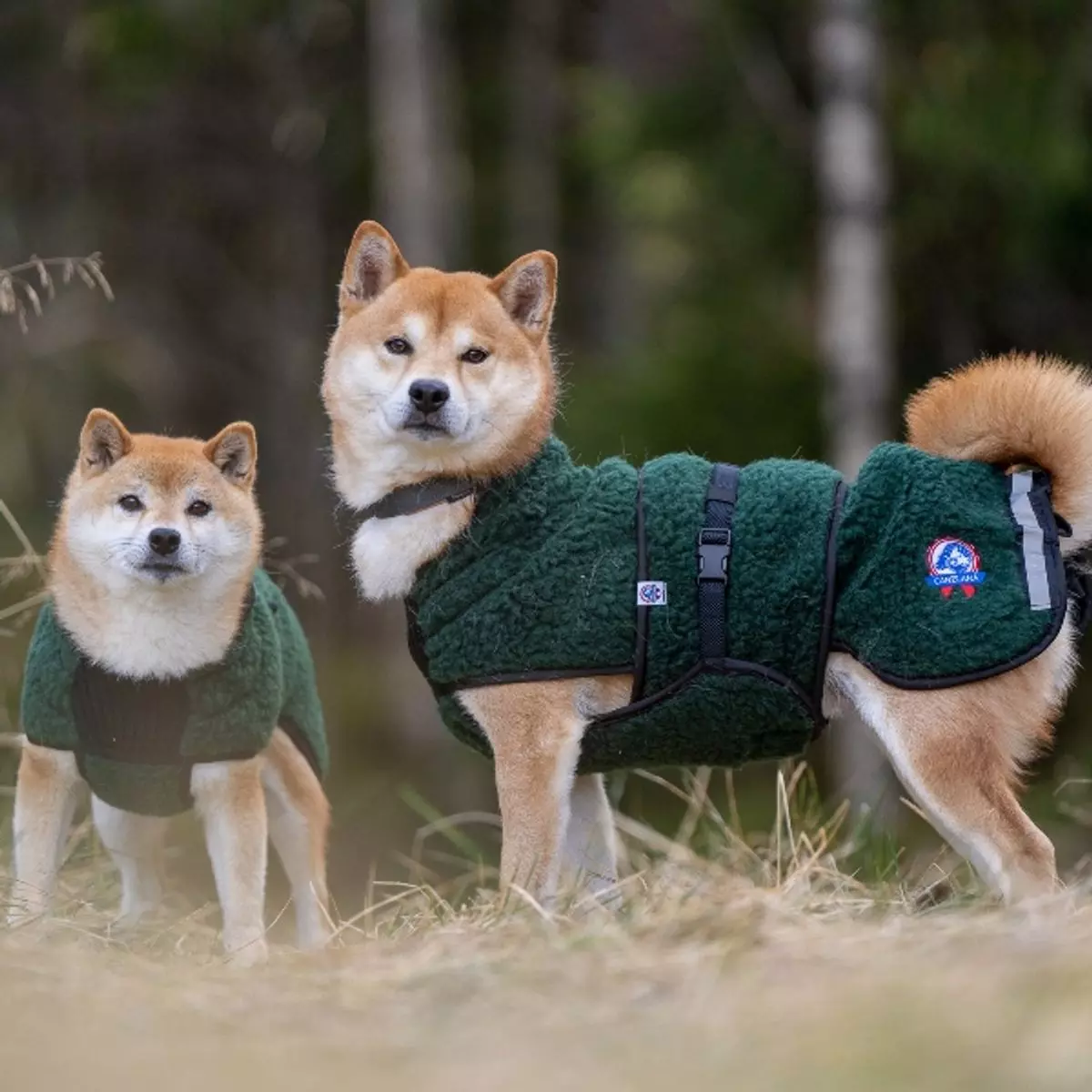 gallery-10675-for-100769