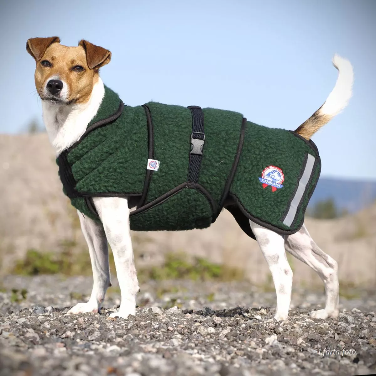 Canelana SELVA ulldekken TERRIER | Flere størrelser (XS-M)