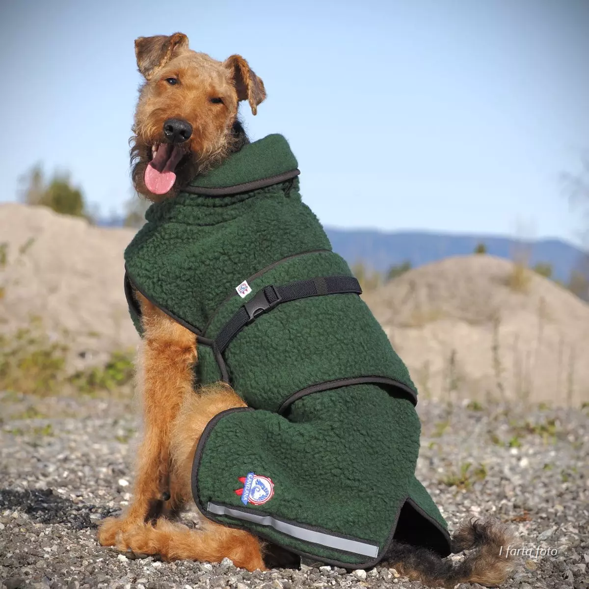 Canelana SELVA ulldekken Grønn TERRIER | Flere størrelser (M/L-L)