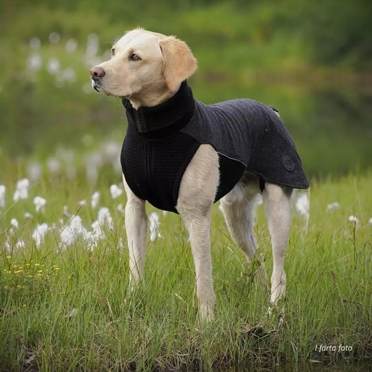 gallery-10700-for-100787