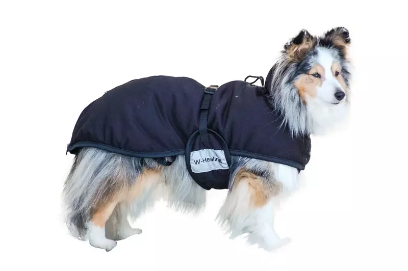 W- Healing Rug for Dog, Whalsten | Flere størrelser