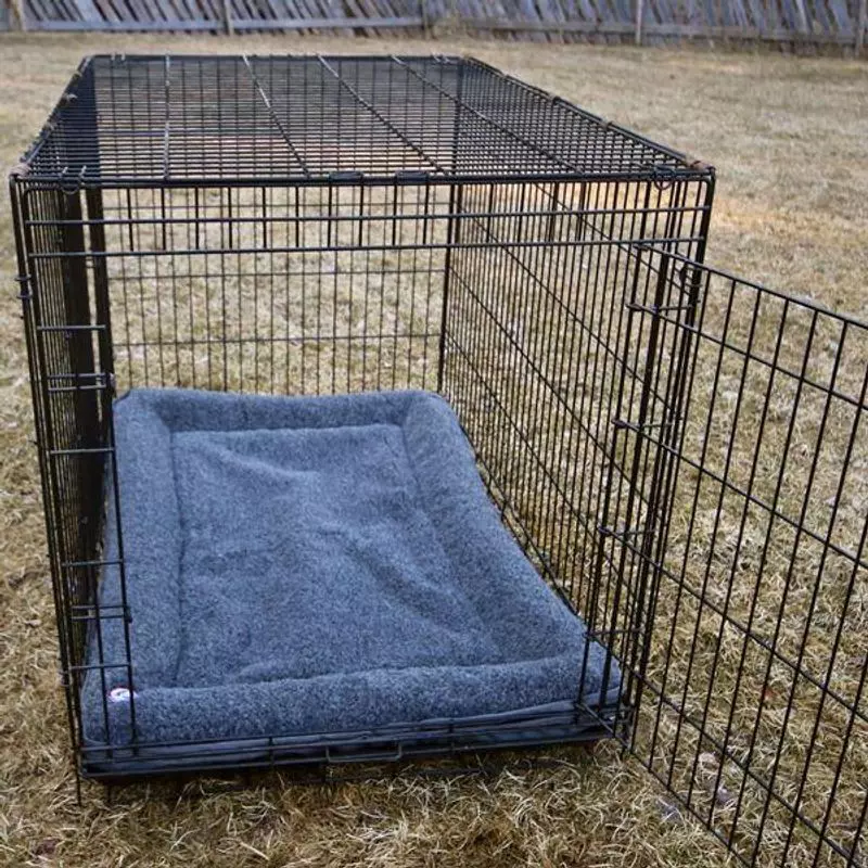 Canelana 100% ull burmadrass hund 44x63 cm