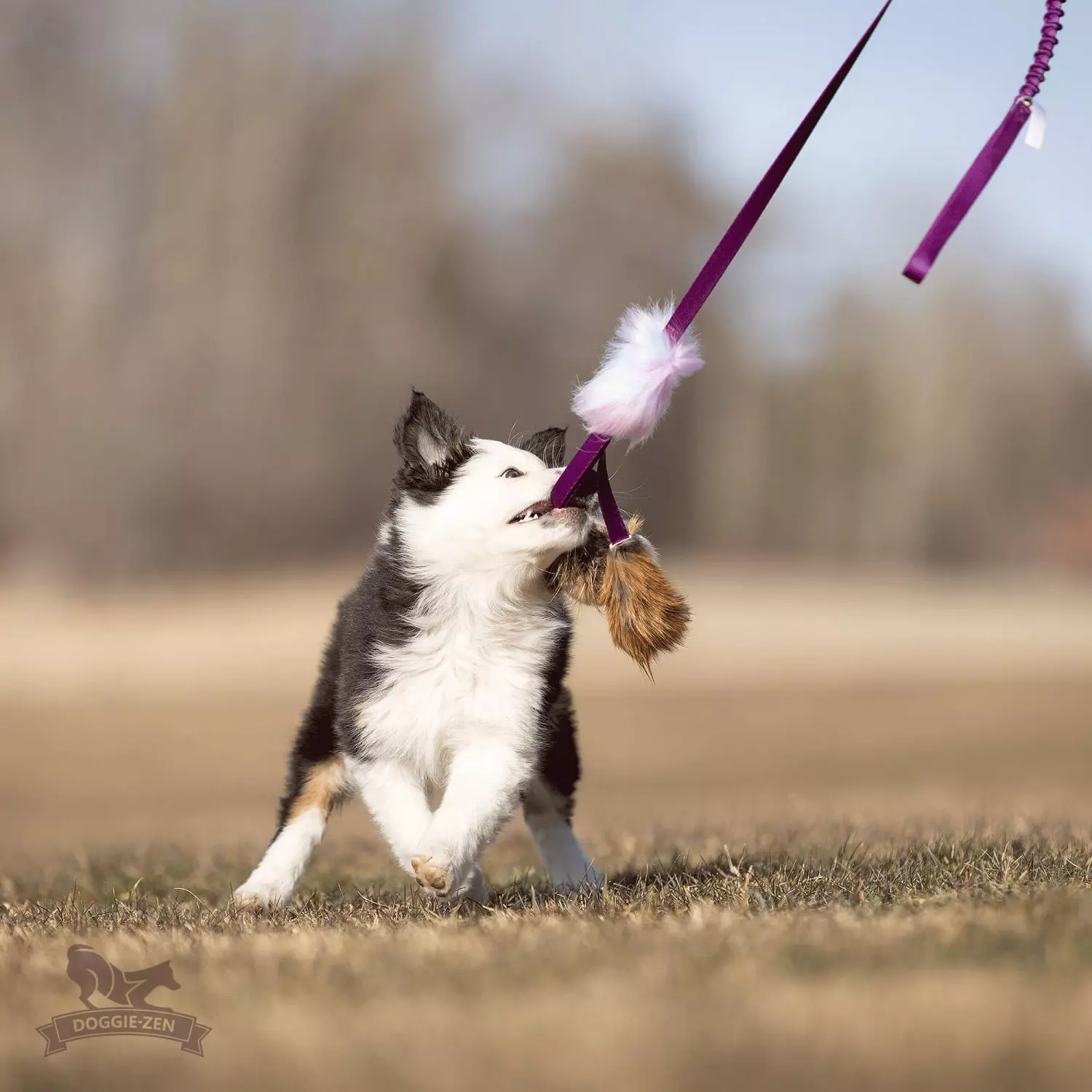 gallery-10835-for-DZ7529