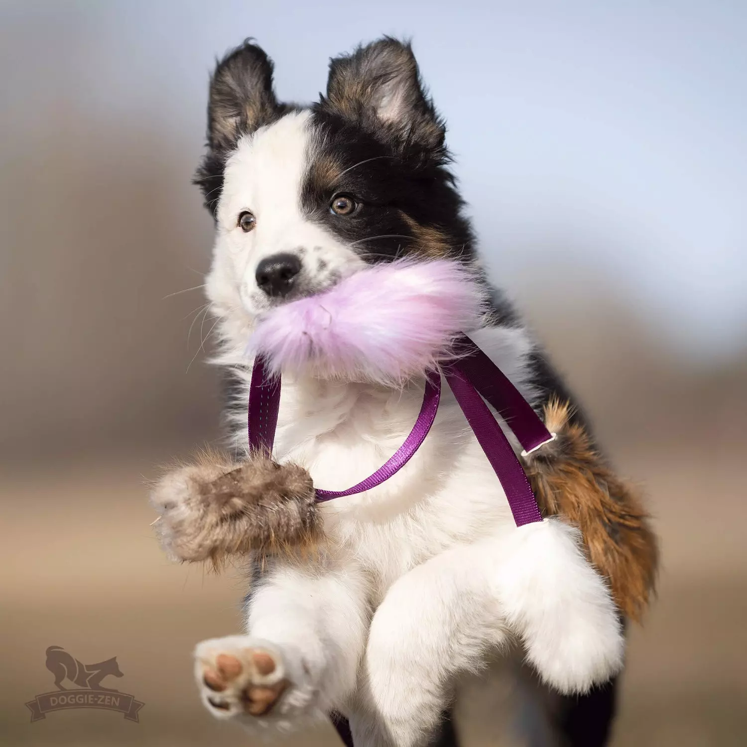 Doggie-zen Blekksprutjeger S – Bever, Rev og Kanin