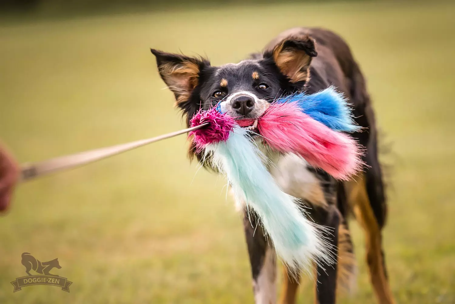 gallery-10839-for-7013