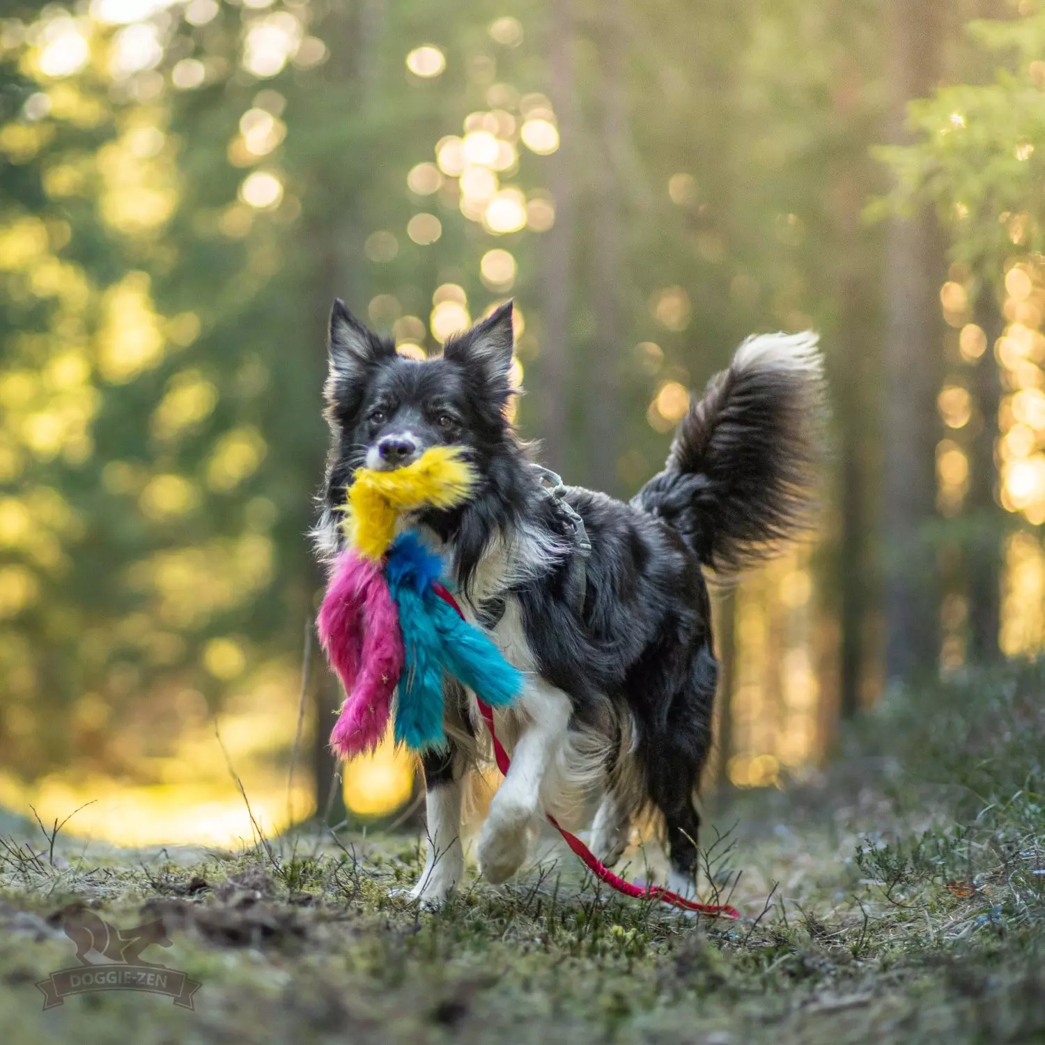Doggie-zen Blekksprutjeger med fuskepels | Vilkårlig farge