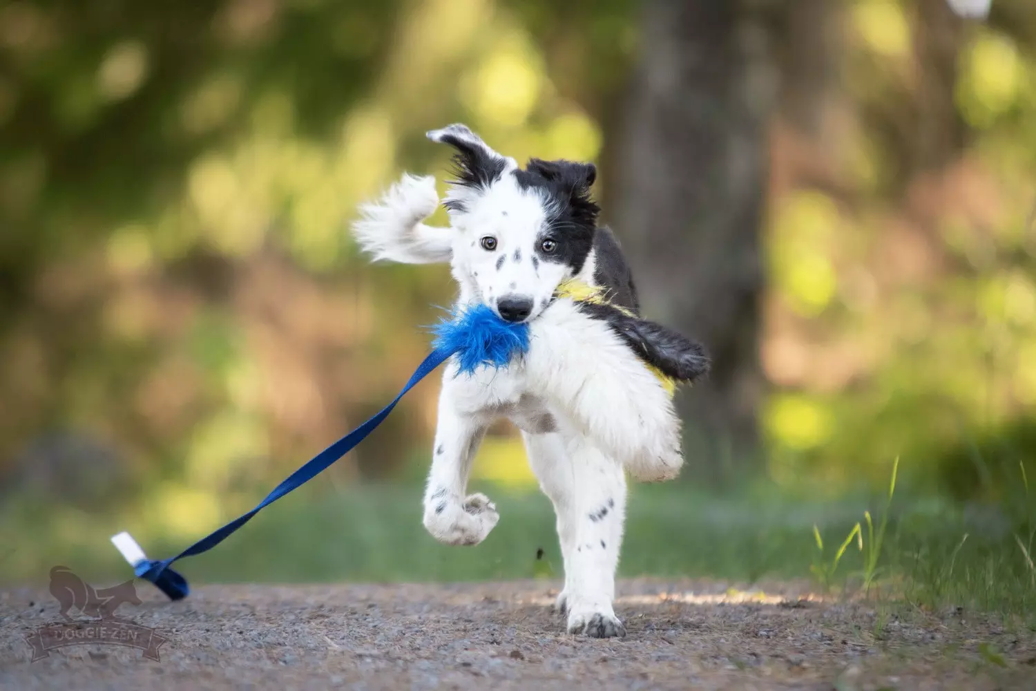 gallery-10848-for-7526