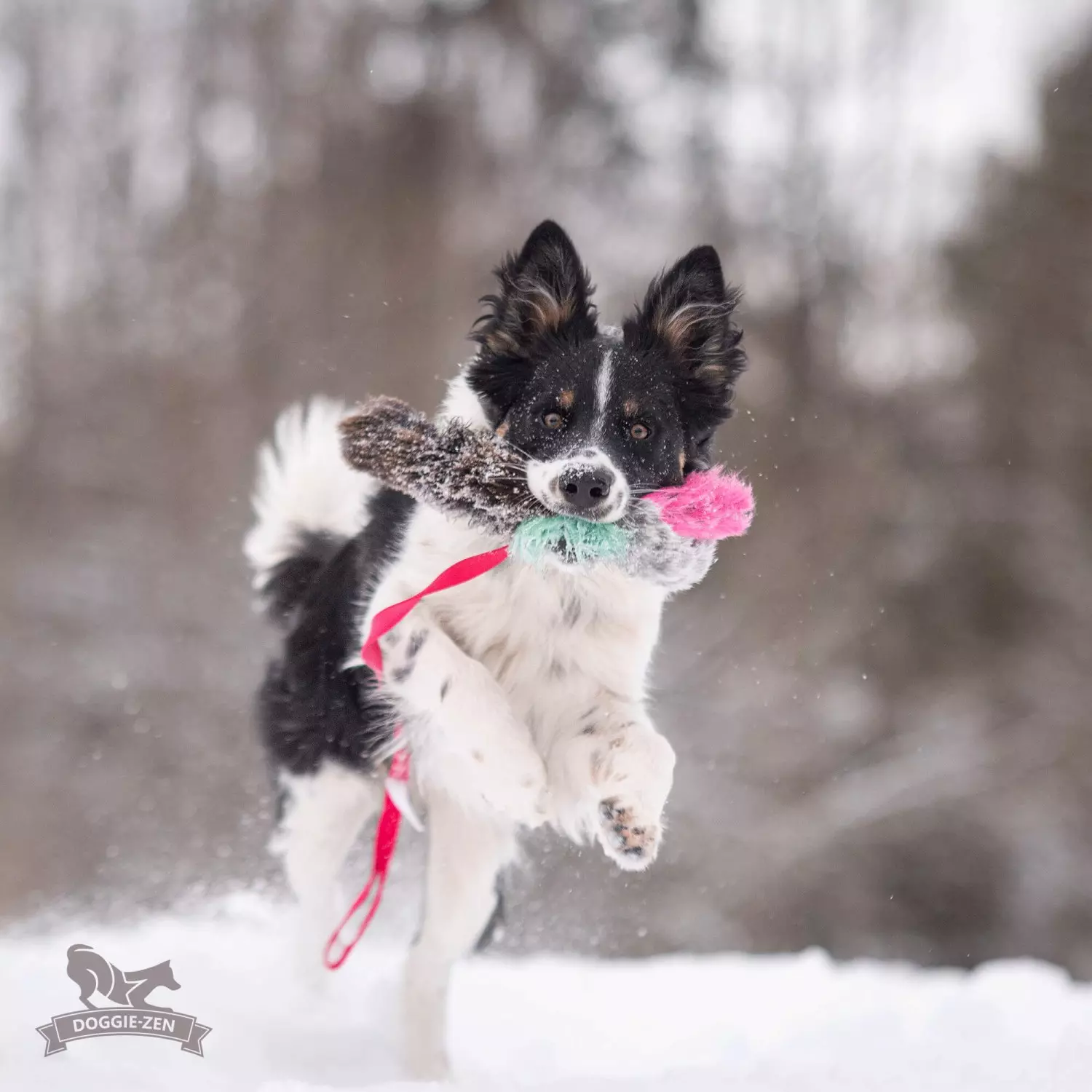 Doggie-zen Blekksprutjeger – Kanin, Sauepels og Fuskepels | Vilkårlig farge