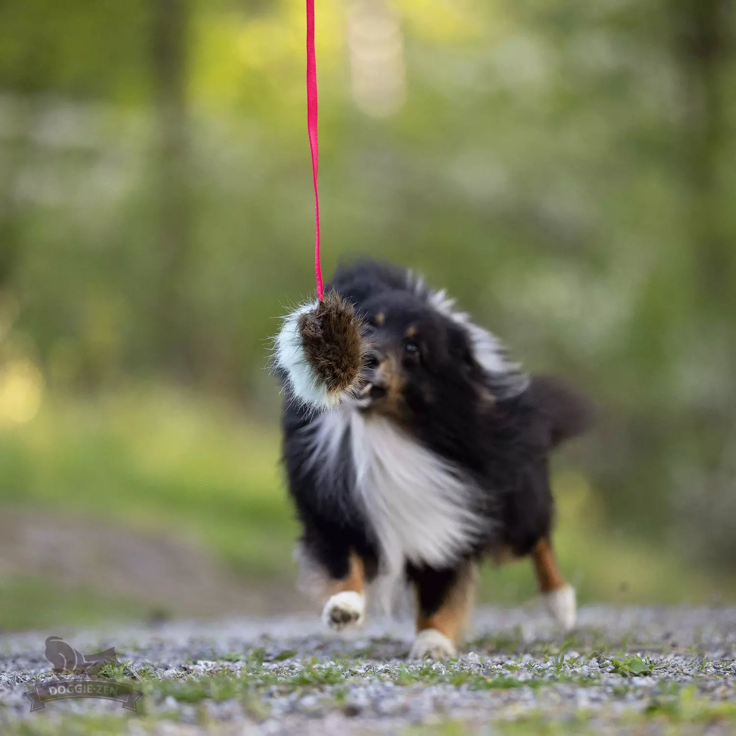 gallery-10854-for-7374