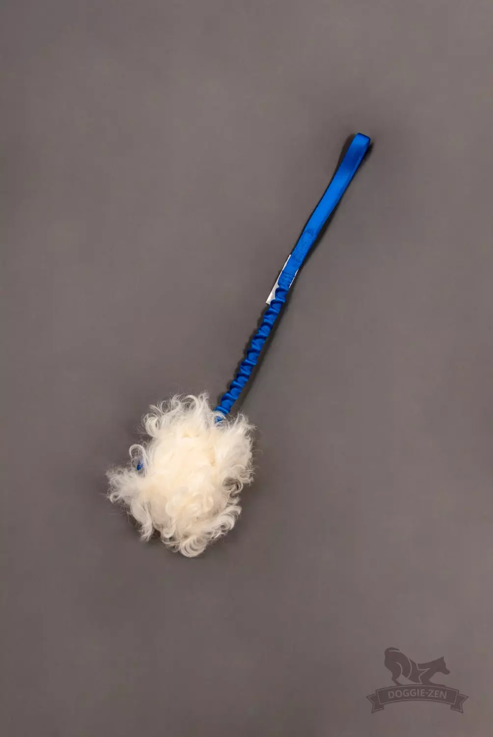 gallery-10858-for-7034