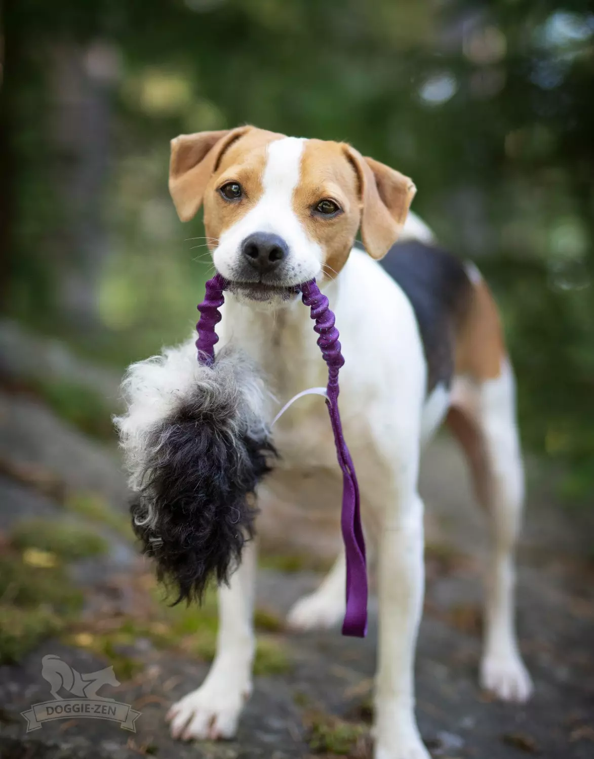 Doggie-Zen Belønningsleke, Beverpipjeger S | Vilkårlig farge