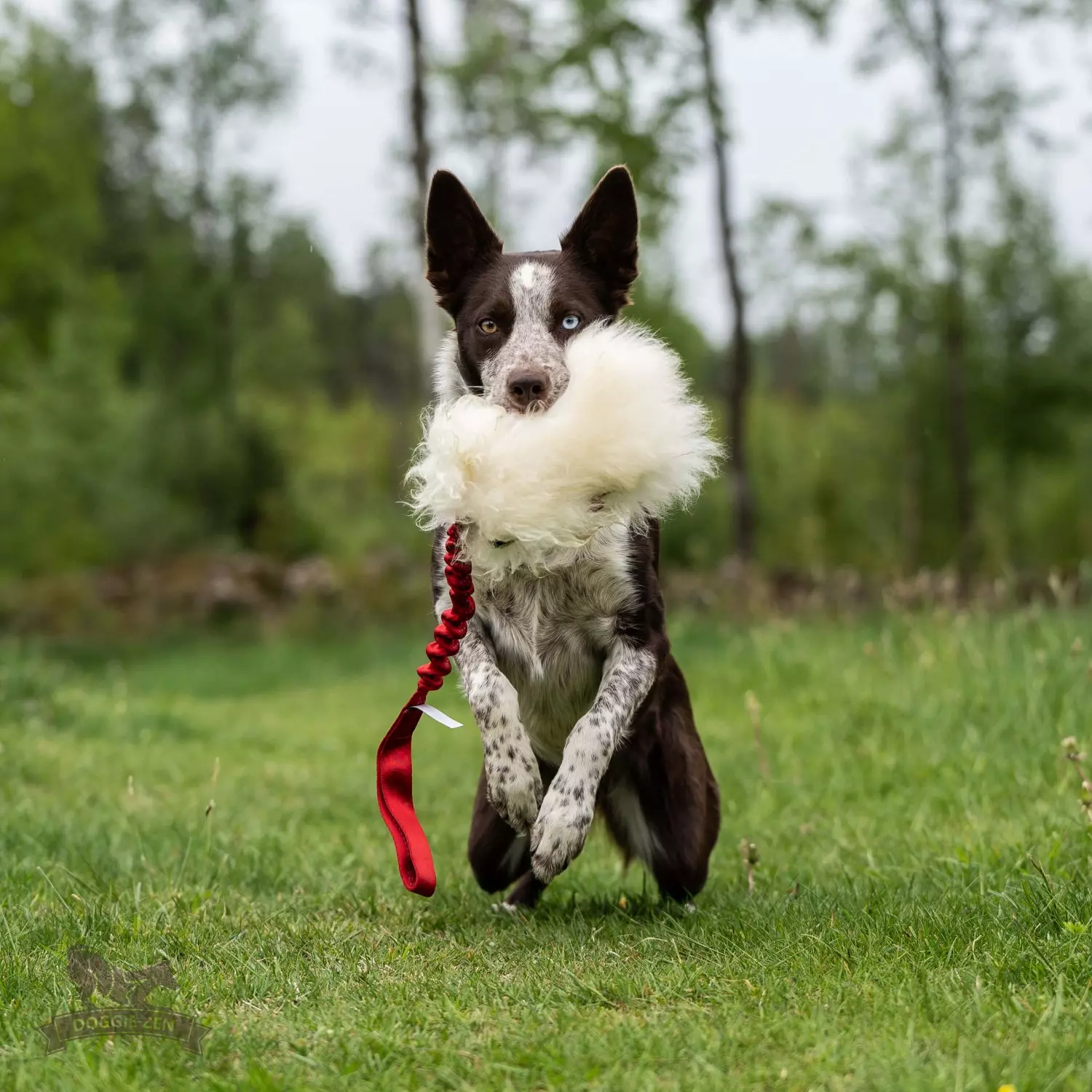 gallery-10866-for-7036