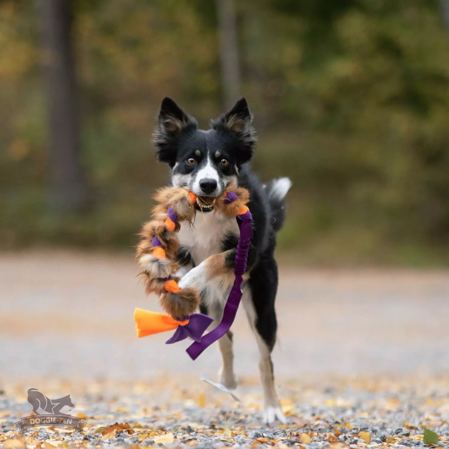 gallery-10878-for-7427