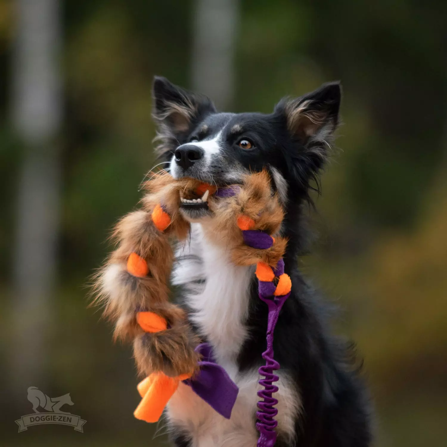 Doggie-Zen Fleeceflette med revepels | Vilkårlig farge