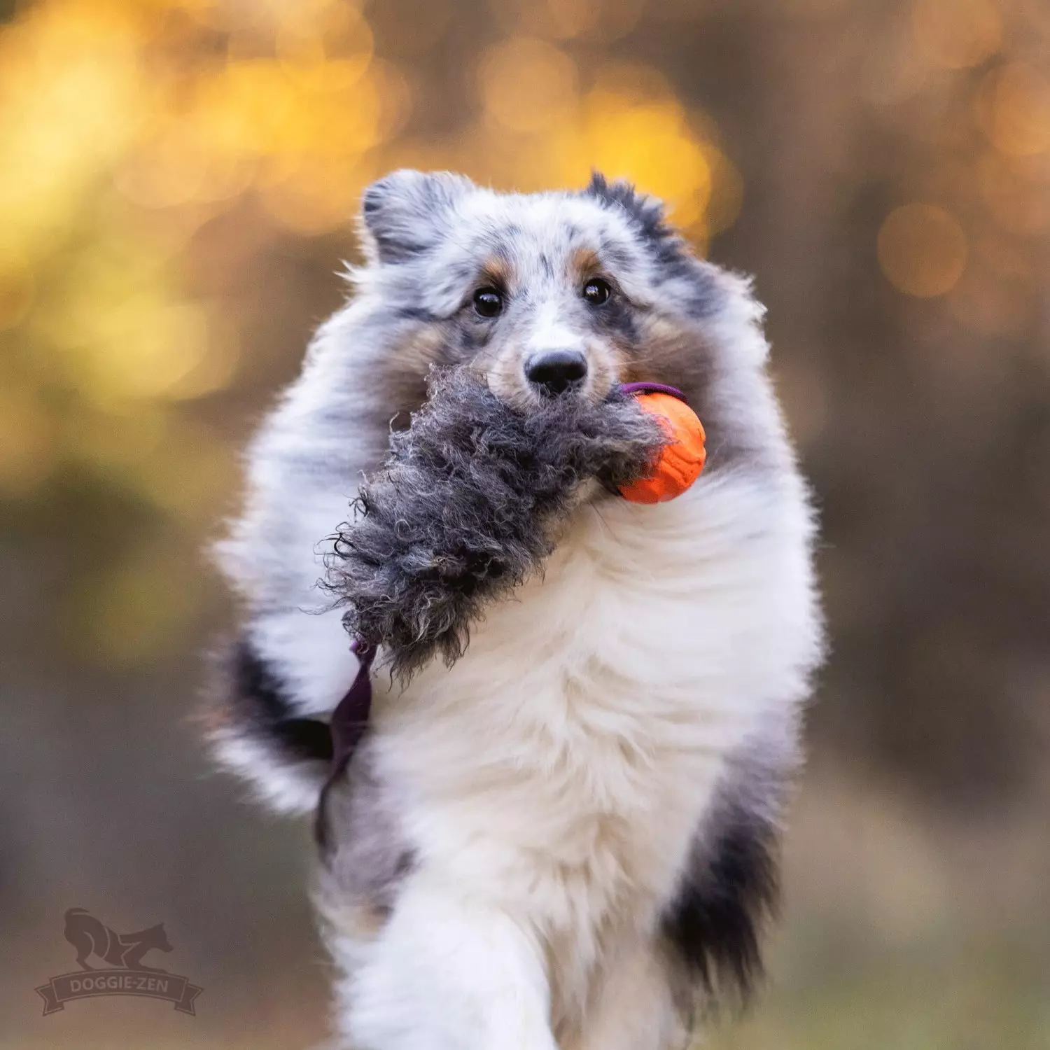 gallery-10895-for-7062