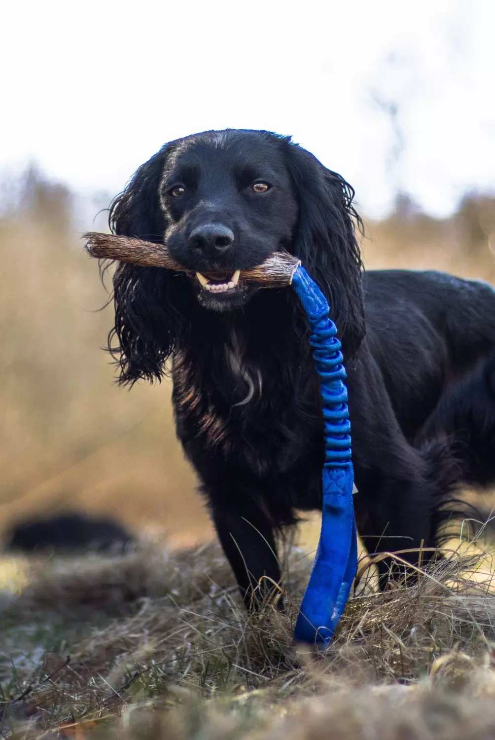 gallery-10905-for-8021