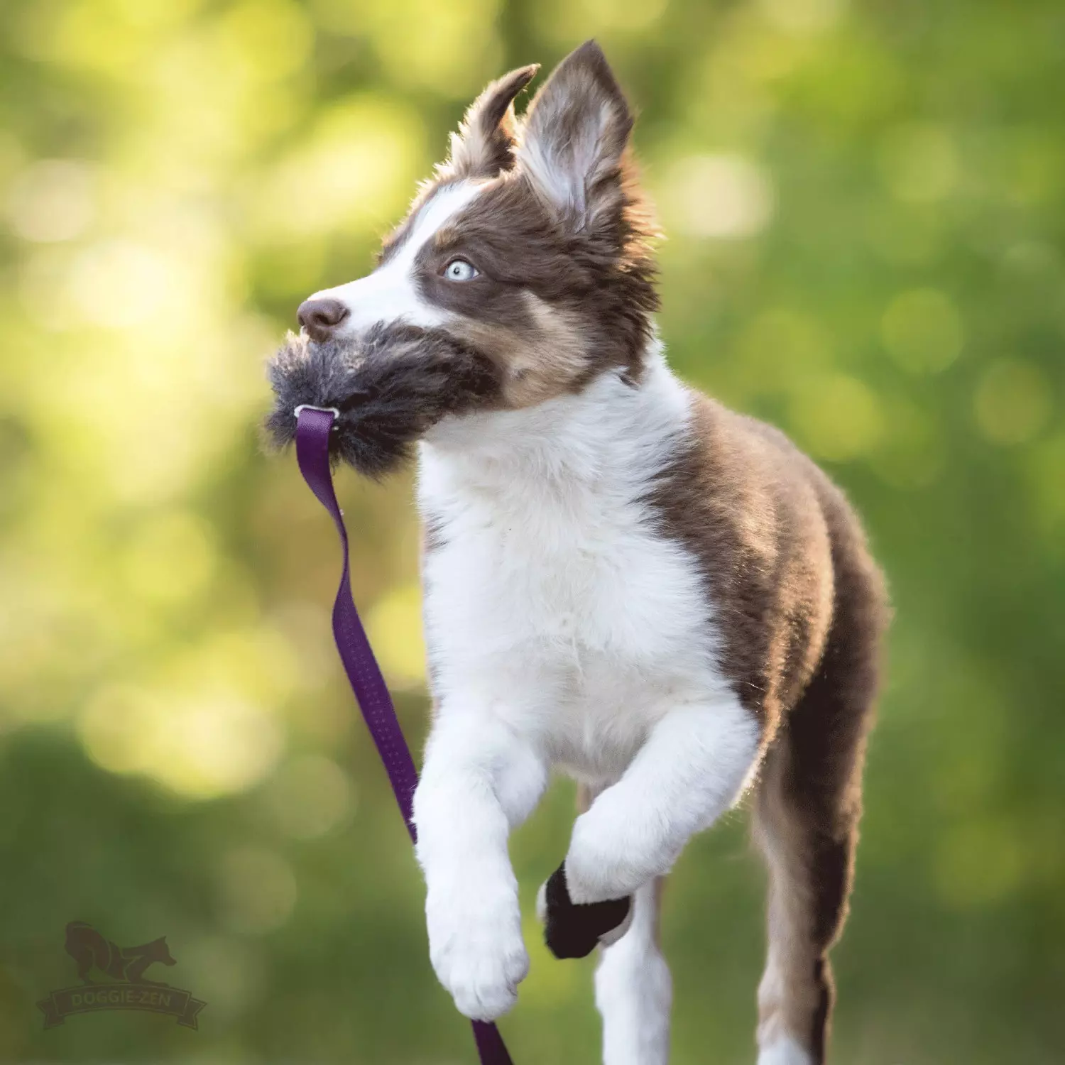 gallery-10918-for-7120