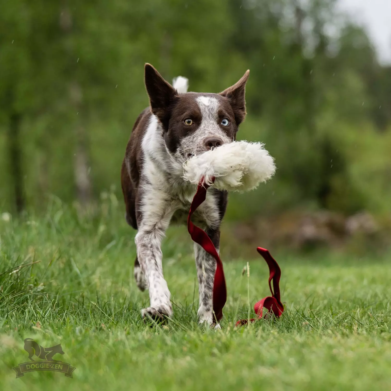 gallery-10922-for-7121