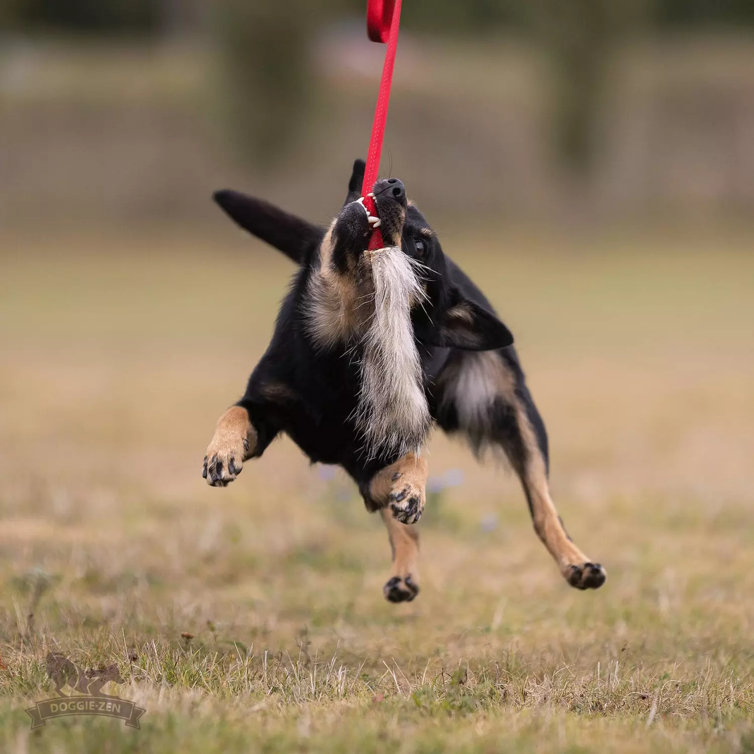 gallery-10925-for-8200