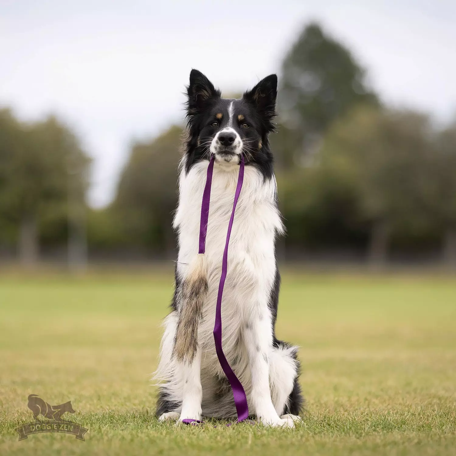 gallery-10929-for-8201