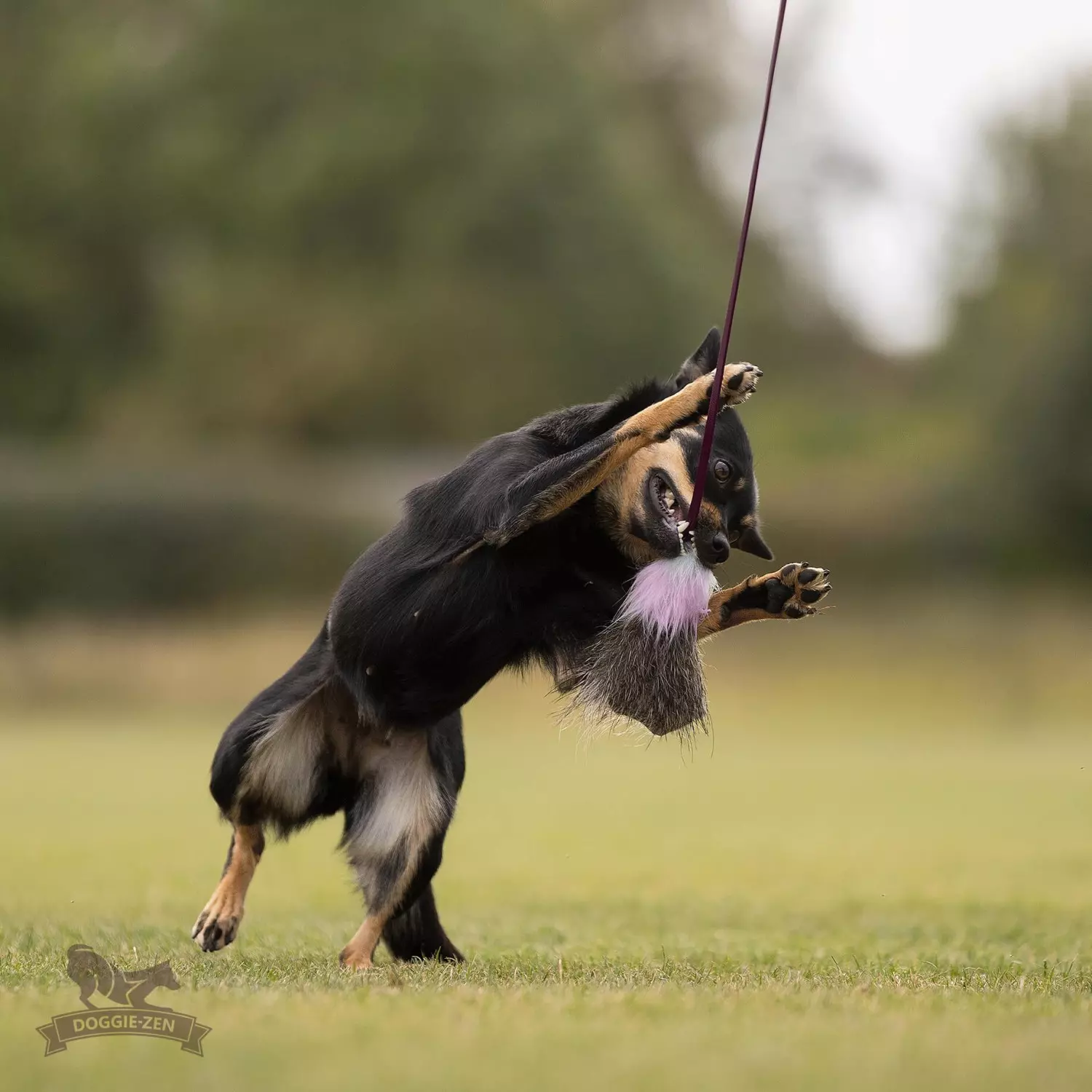 gallery-10935-for-DZ8100