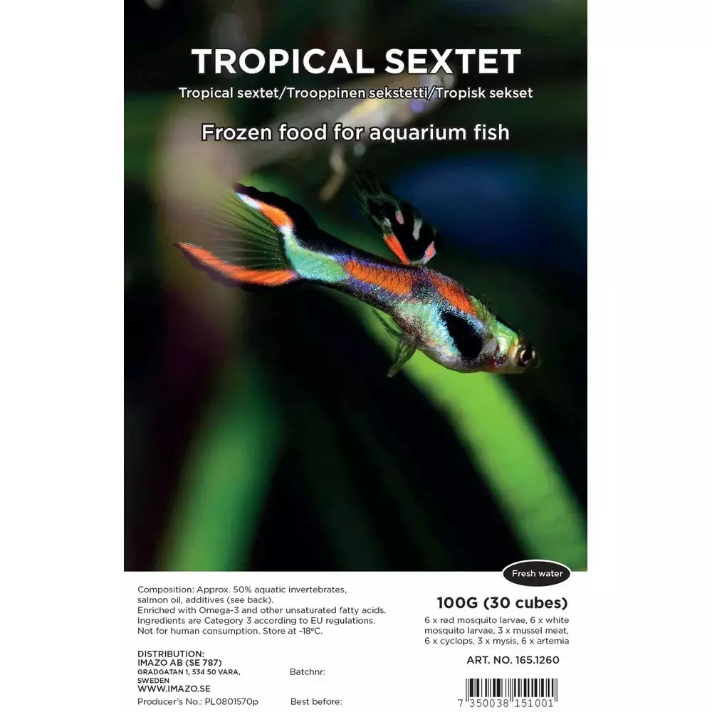 Fryst Sextet Tropical Blister 100g