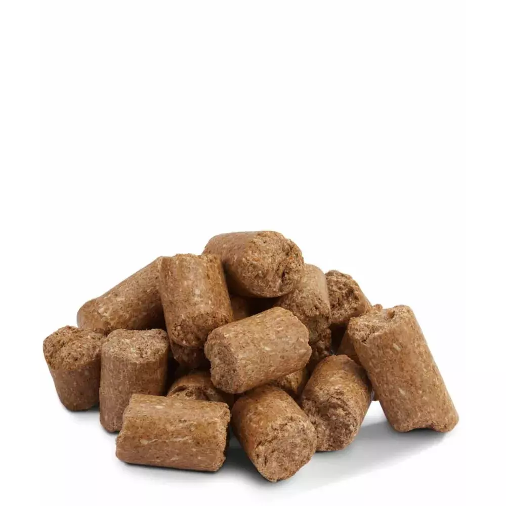 gallery-10958-for-510.0790