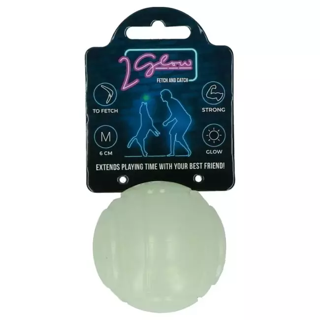2 Glow Fetch & Play