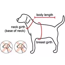 gallery-11034-for-NATA-HA7555-6