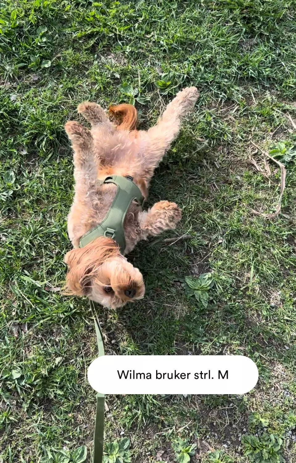 gallery-11086-for-#3XSS50