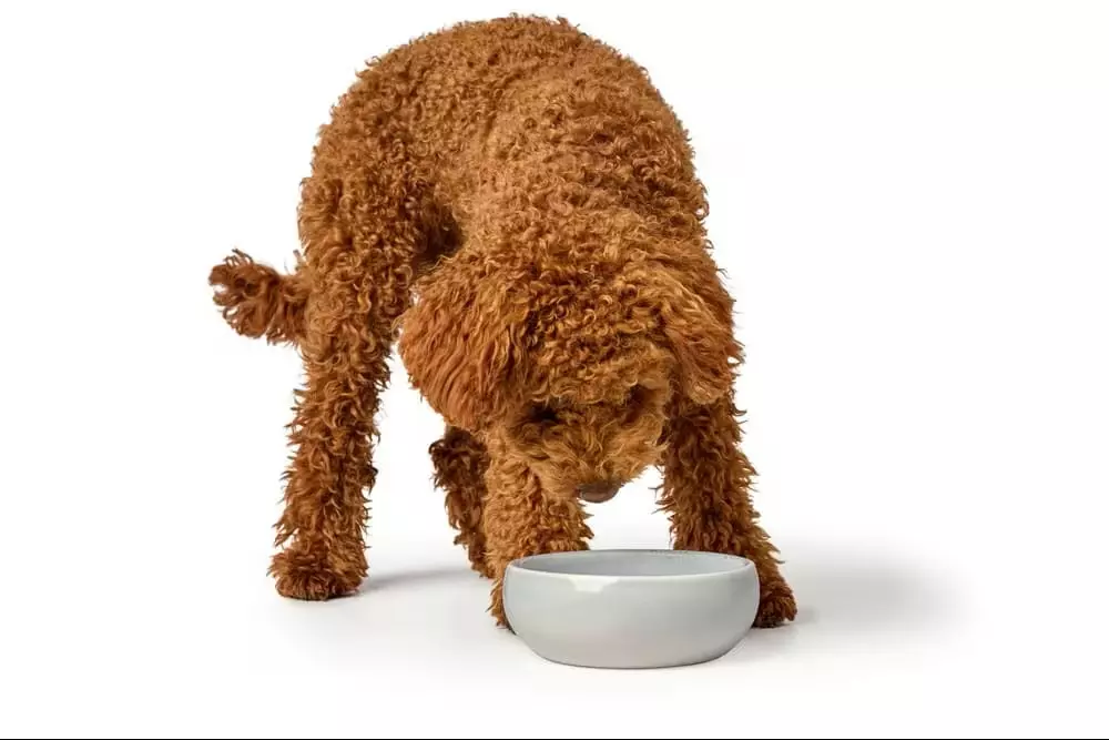 gallery-11127-for-H69988