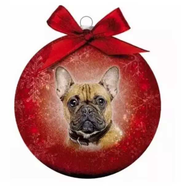 Julekule Fransk Bulldog