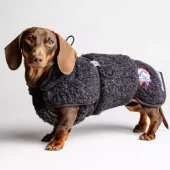 Canelana Ambassadør ulldekken Dachs (tykk ull) Sort | Flere størrelser (30-45)