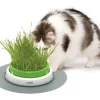 Catit Senses 2.0 Grass Planter 24x24x13 cm