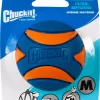 CHUCKIT Ultra Squeaker ball M
