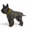Fashion Dog Regndekken med ullfôr, Grønn | Flere størrelser (36-60)