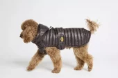 Fashion Dog Fôret Regndekken med avtagbart hette og hull til sele Brun | Flere størrelser (30-60)