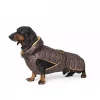 Fashion Dog Regndekken til Dachs med avtagbart fôr, Brun | Flere størrelser (33-47)
