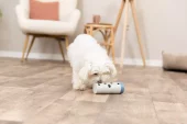 Dog Activity Snack Roll, 14cm x Ø6cm(3)