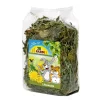 JR Farm Tørket Løvetann 100g