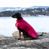 gallery-1662-for-101156