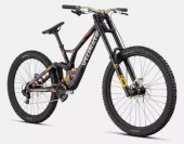 SPECIALIZED Demo Race