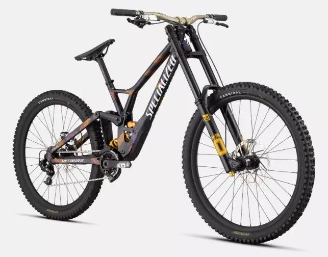 SPECIALIZED Demo Race